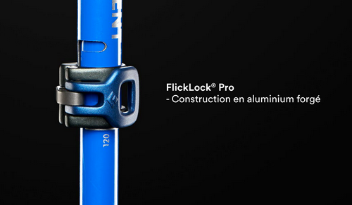 Système de réglage de la taille du bâton FlickLock Pro Black Diamond